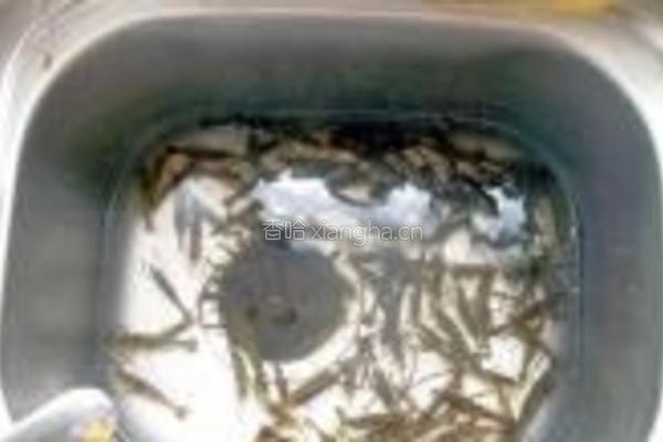 咸菜毛豆豆瓣酥的做法图解1