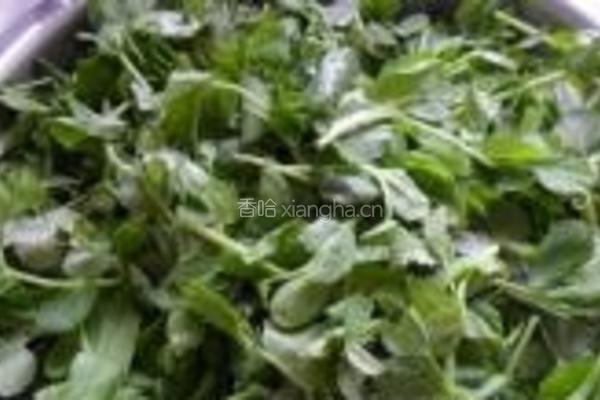 蒜香豌豆苗的做法图解1