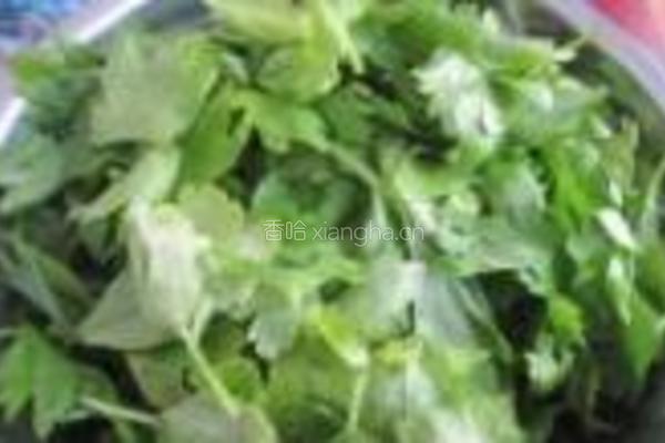 凉拌芹菜叶的做法图解1
