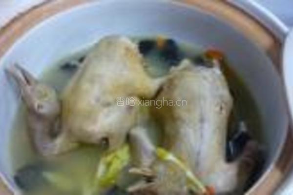 天麻炖乳鸽的做法图解7