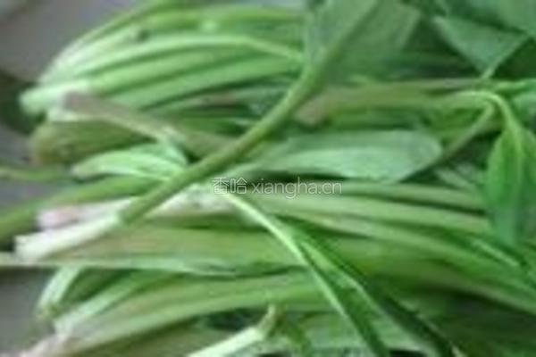 蒜香菠菜梗的做法图解1