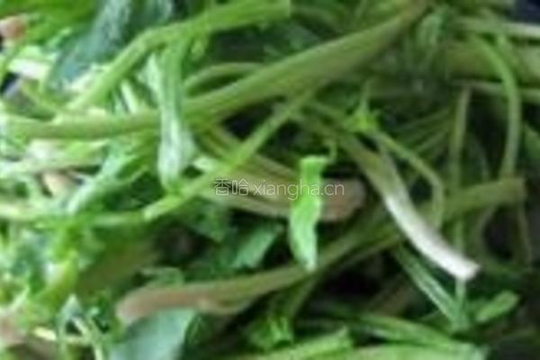 蒜香菠菜梗的做法图解3