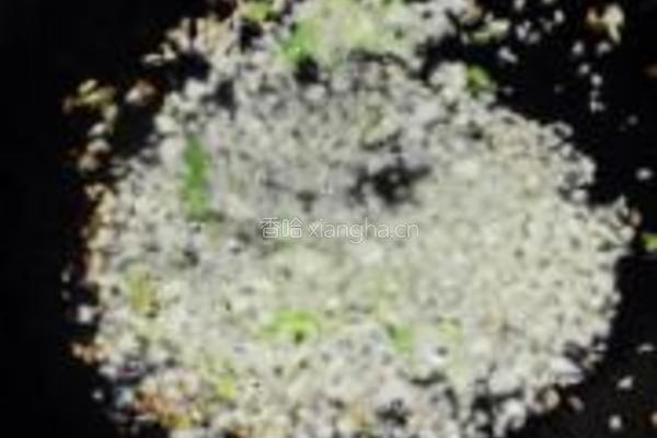 荔枝皮蛋炖排骨的做法图解8