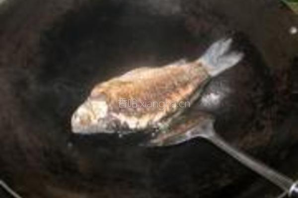 鲫鱼芫荽豆腐汤的做法图解4