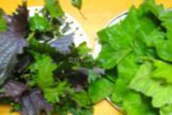紫苏南瓜叶芝麻饼的做法图解1