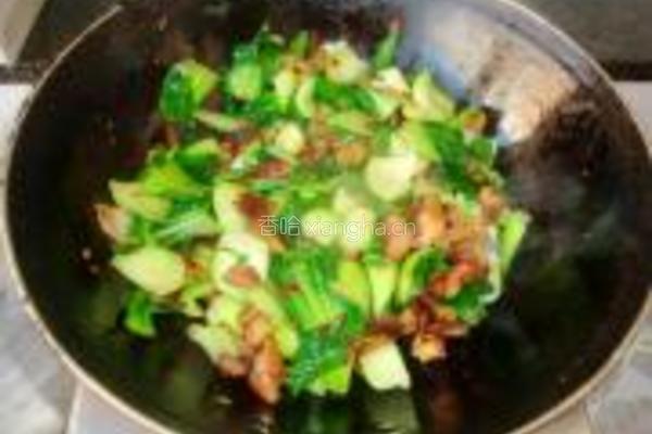 口蘑烧油菜的做法图解6