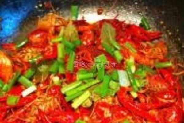 麻辣小龙虾的做法图解6