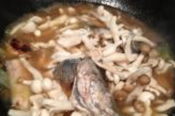 菌菇黑鱼片的做法图解10