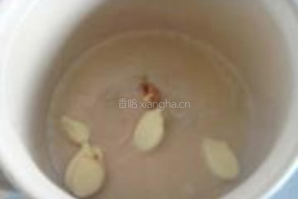 白萝卜炖羊肉的做法图解5
