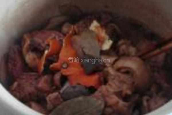 白萝卜炖羊肉的做法图解8