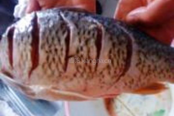 糖醋鲤鱼的做法图解1