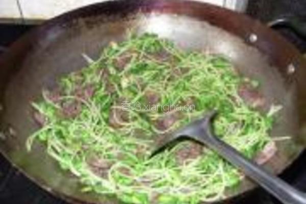 黑豆苗炒牛肉的做法图解8