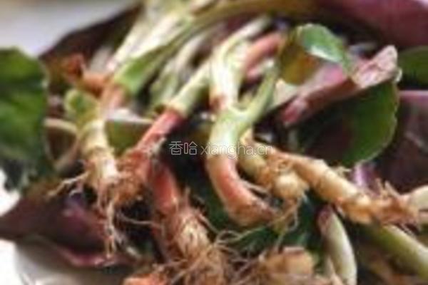 凉拌折耳根的做法图解1