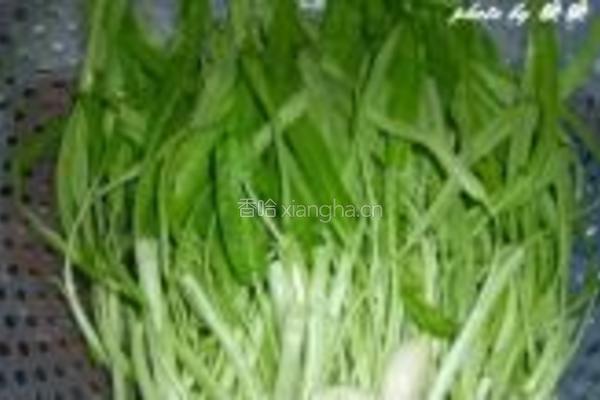 普宁豆酱炒空心菜的做法图解2