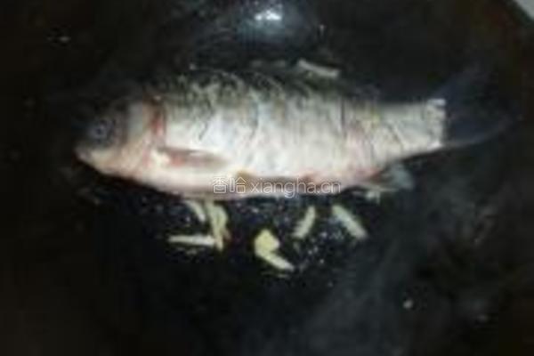 茼蒿鲫鱼豆腐汤的做法图解5