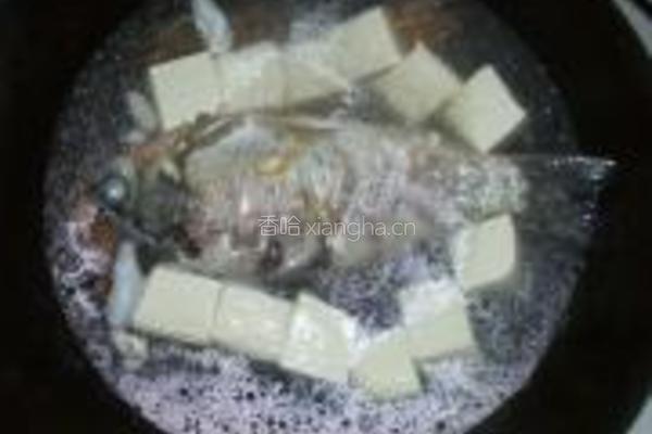 茼蒿鲫鱼豆腐汤的做法图解7