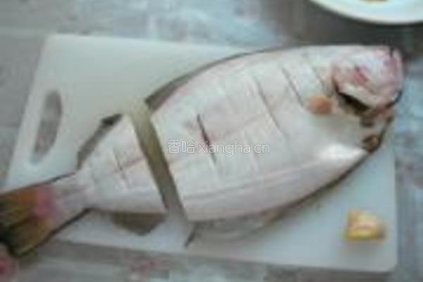 清蒸牙片鱼的做法图解6