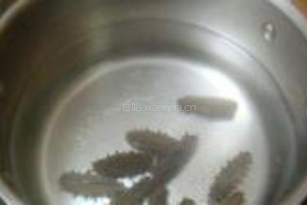泡发干海参的做法图解8