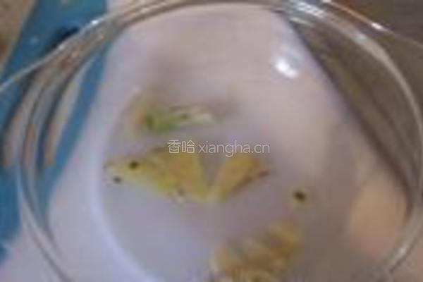 茶树菇焖鸡的做法图解5