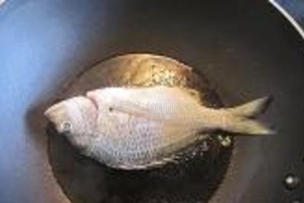 海鱼焖老节瓜的做法图解1