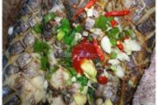 洋葱焖马鲛鱼的做法图解8
