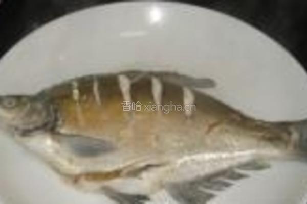 多味鳊鱼的做法图解4