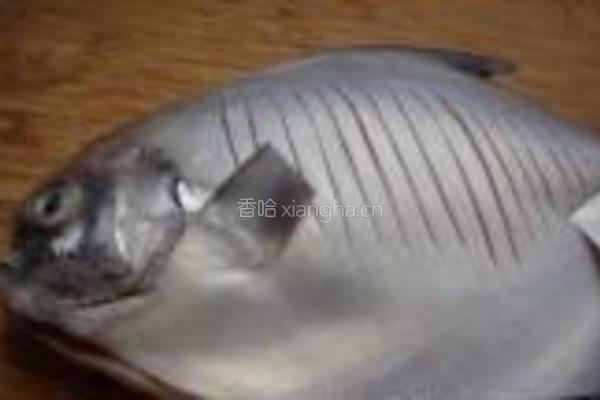 原味焖鲳鱼的做法图解2