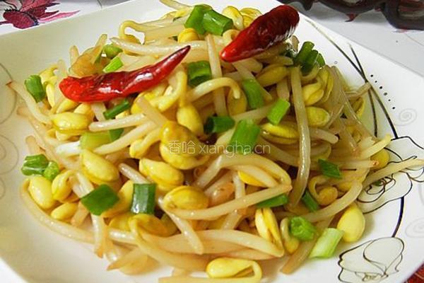 素炒辣味黄豆芽