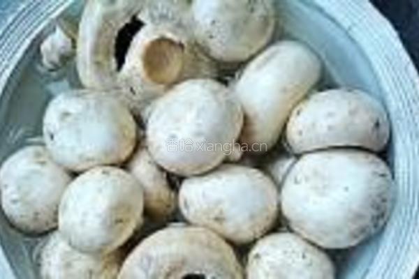 洋葱蘑菇炒香肠的做法图解2