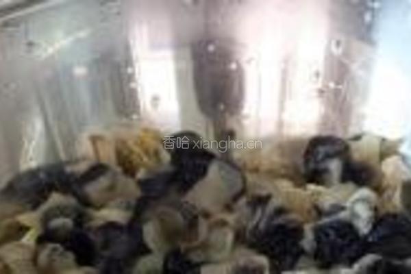 辣炒虾螺的做法图解5