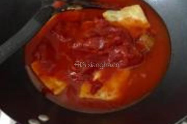 西红柿炖豆腐的做法图解5