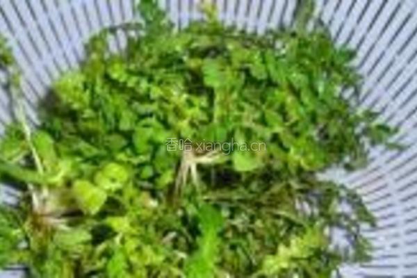 荠菜虾球的做法图解1