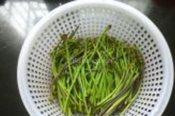 炒酸辣蕨菜的做法图解2
