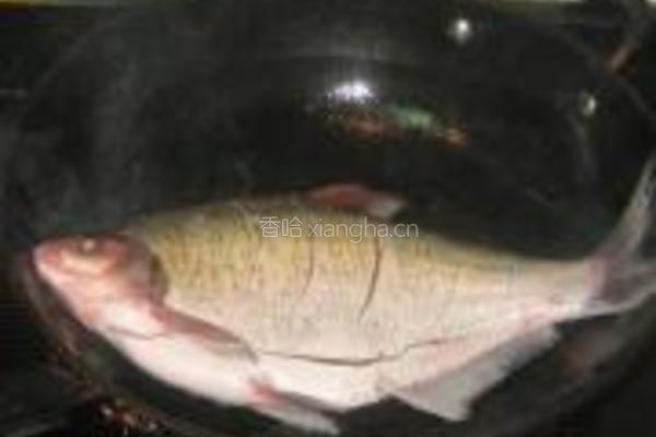 红油豆瓣酱烧鳊鱼的做法图解2
