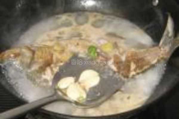 红油豆瓣酱烧鳊鱼的做法图解3