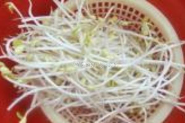 火腿丝炒黄豆芽的做法图解2