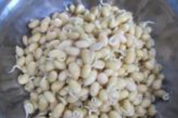 黄豆芽炒火腿肠的做法图解1