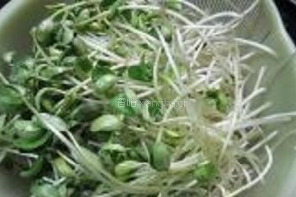 黑豆芽炒牛肉的做法图解1