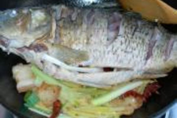 红烧鲤鱼的做法图解9