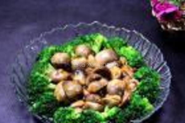 蚝油烧草菇的做法图解12