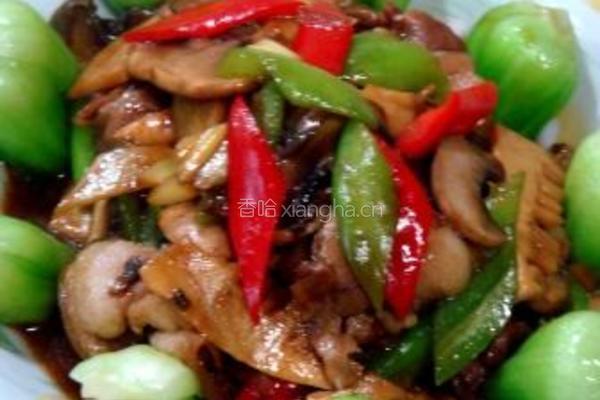 蚝油蘑菇肉片