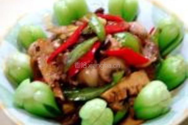蚝油蘑菇肉片的做法图解18