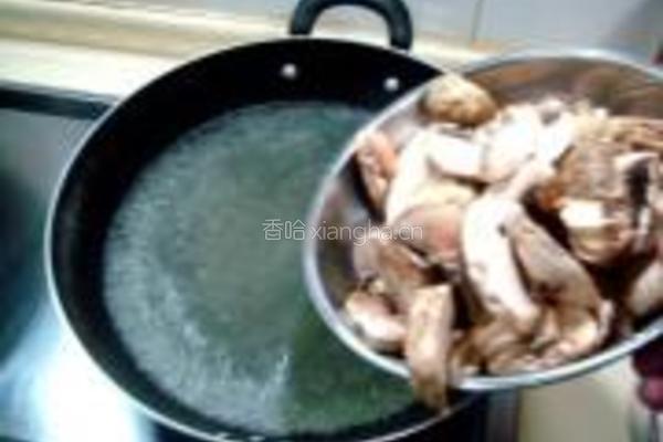 蚝油蘑菇肉片的做法图解8