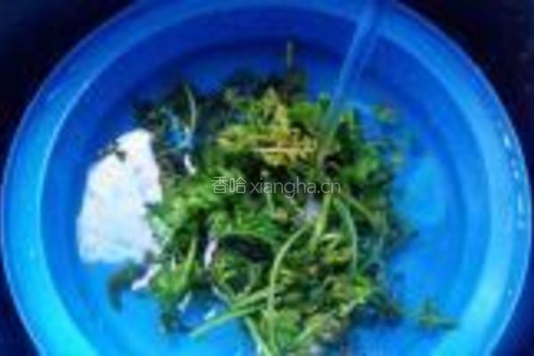 蕃茄炒水蕨菜的做法图解3