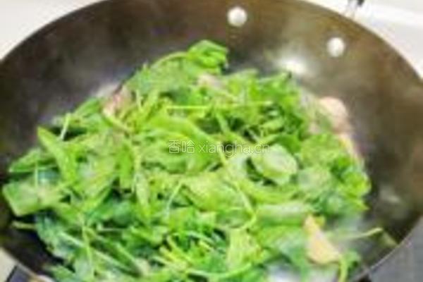 上汤豆苗的做法图解7