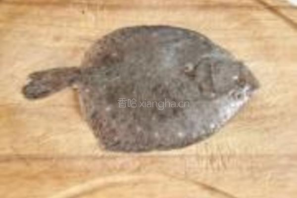 红烧多宝鱼的做法图解1