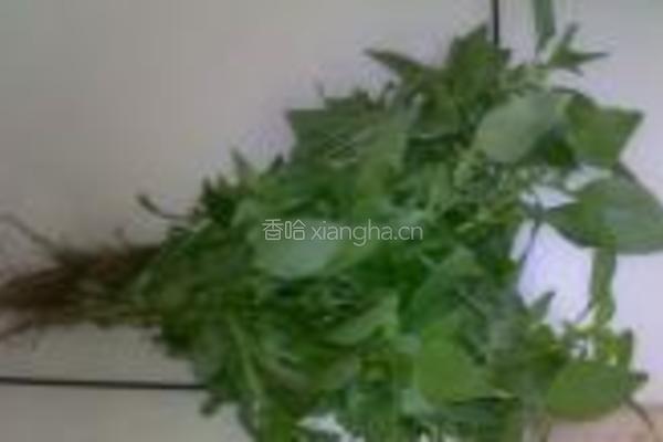 凉拌双皮的做法图解4