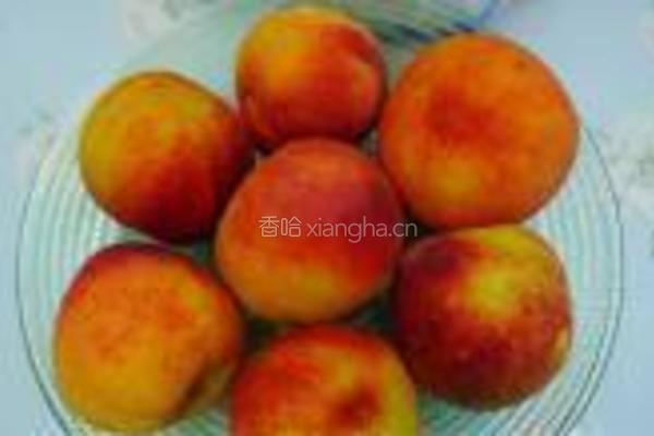 自制黄桃罐头的做法图解1