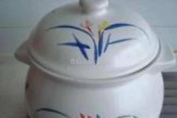青萝卜炖排骨的做法图解5