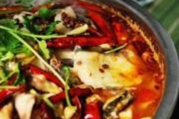 麻辣水煮鱼的做法图解20